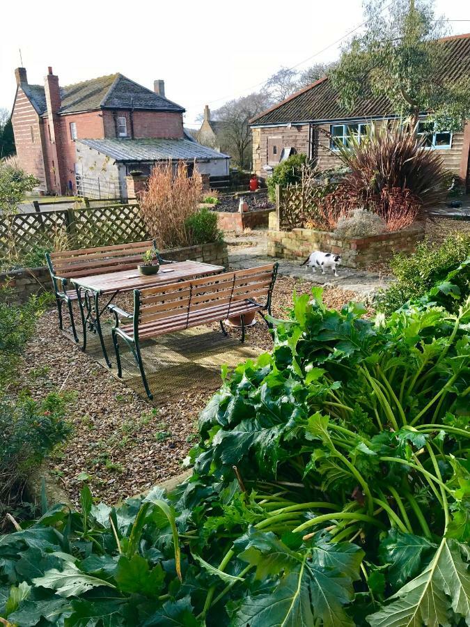 Home Barn Bed And Breakfast Yeovil Ngoại thất bức ảnh